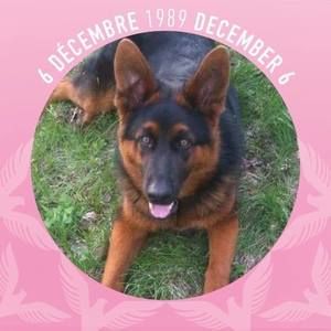 Meet your Posher, Célia